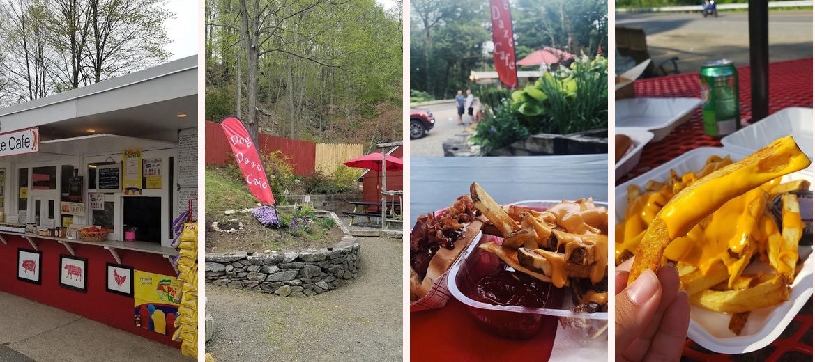 Dog Daze Cafe Gallery Image 5